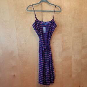 Anne Taylor Petite Striped Red and Blue Dress